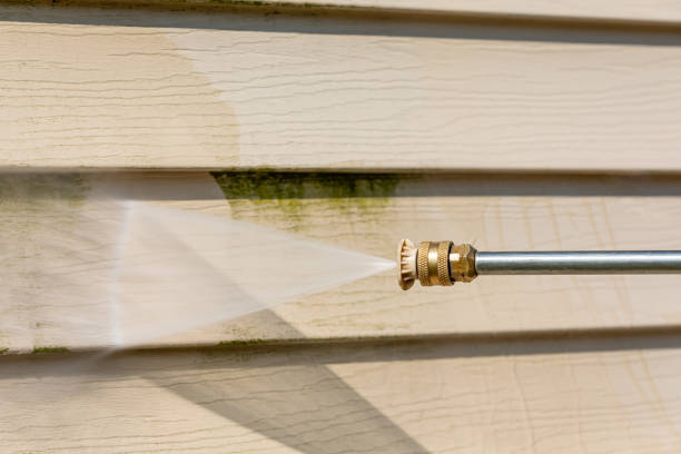 Best Local Pressure Washing Services  in Park City, TN