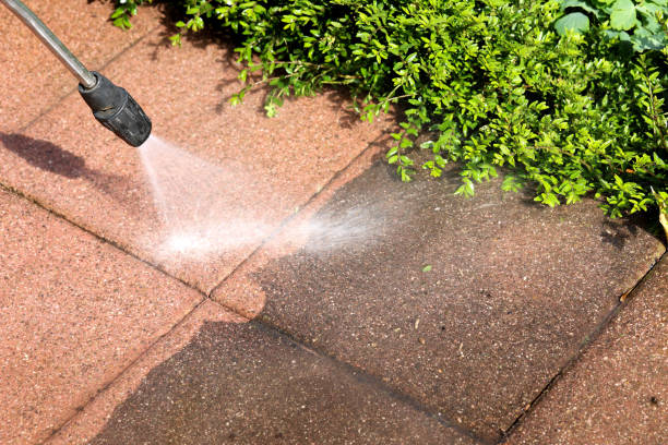 Deck Cleaning Services in Park City, TN